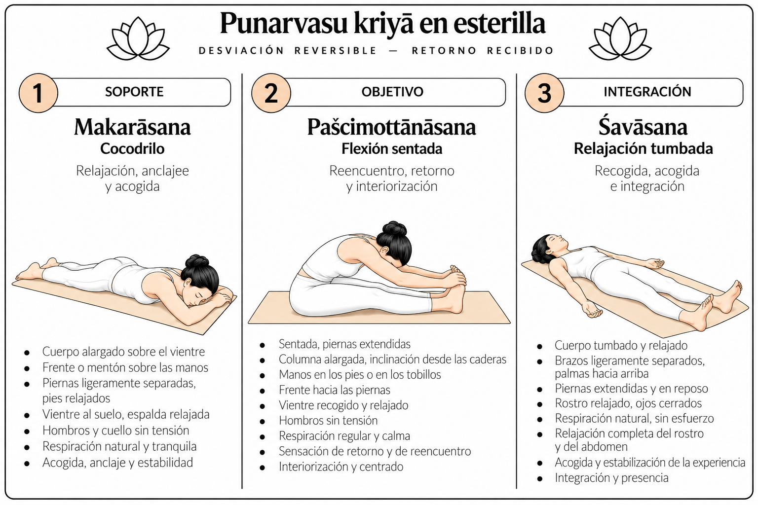 Punarvasu kriyā en esterilla: apoyo, objetivo e integración